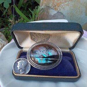 Circa 1920's S.S Morpho Butterfly Brooch